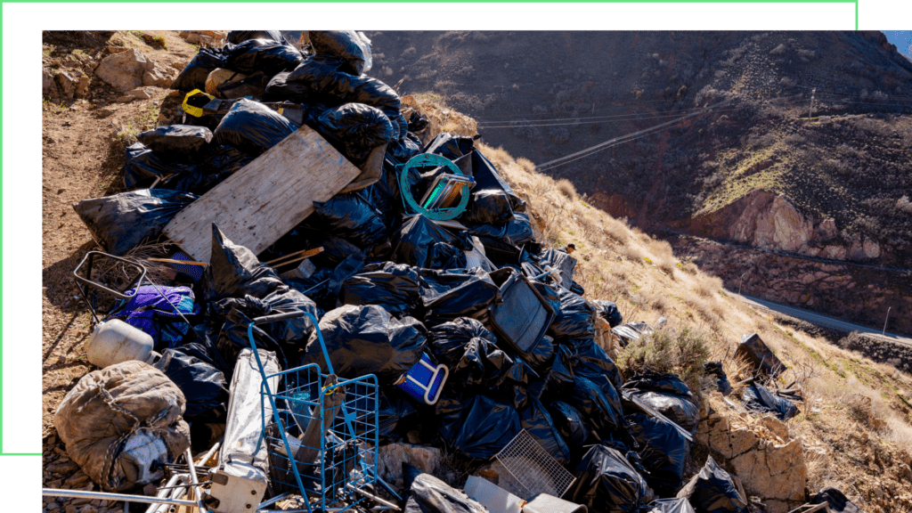 bio cleanup parleys canyon